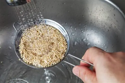 Quinoa wassen