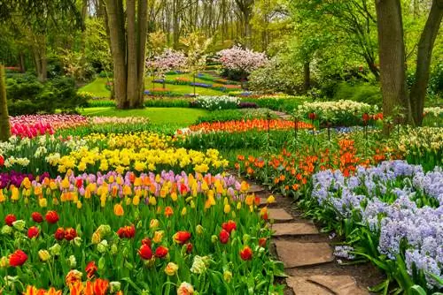 Blomme volgens seisoen: 'n prag van kleur die hele jaar deur