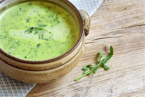 Ricette invitanti con la rucola: insalata di rucola, zuppa e altro