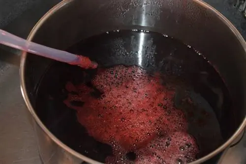 Preserving delicious fruit juice yourself: Simple methods