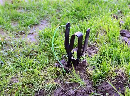 ahuyentar a los ratones de campo