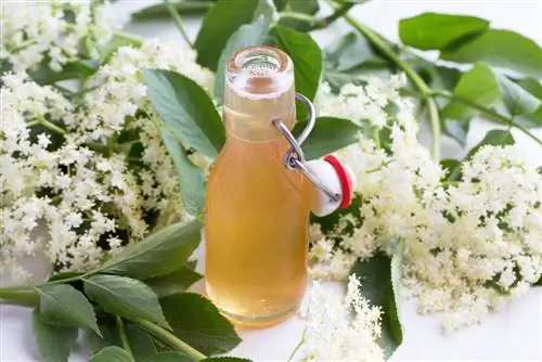 process elderflowers and berries