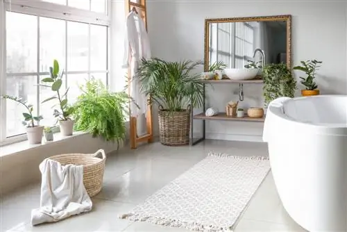 Ideaal voor de badkamer: deze planten houden van vocht