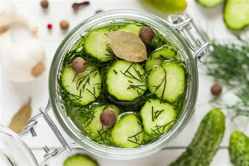 Cooking cucumbers: This way they stay fresh for a long time