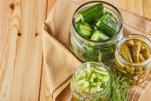 Pickling celery: delicious recipes and instructions