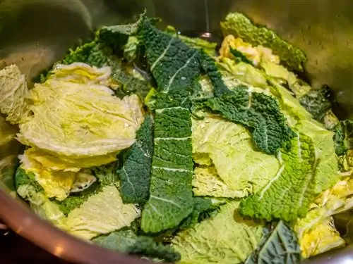 Wash savoy cabbage correctly: This is how the cabbage gets clean