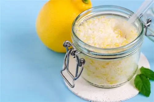 Pagpapanatili ng balat ng lemon: Simpleng recipe at mga tagubilin