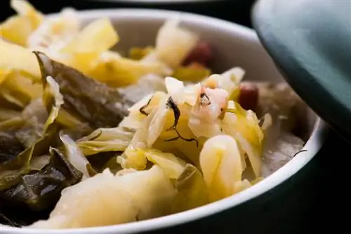 Cooking white cabbage: delicious recipes & simple methods