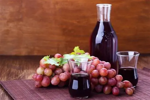 conservation du jus de raisin