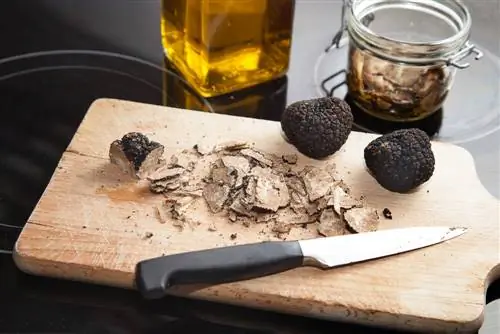 truffle qurutma