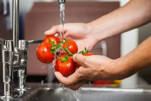 Tomaten wassen: hoe vuil en pesticiden te verwijderen