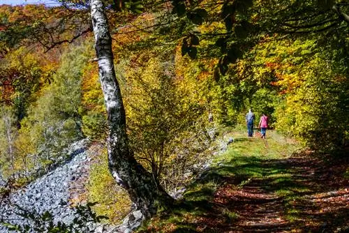 chuyến tham quan tip-hunsrueck-hochwald