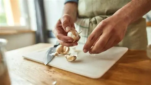 Bawang putih melawan tahi lalat: metode atau mitos yang efektif?