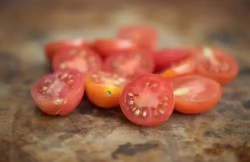 Early tomato variety Matts Wild Cherry