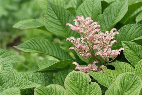 hoja de registro