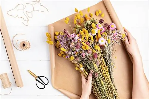 Bouquet of dried flowers