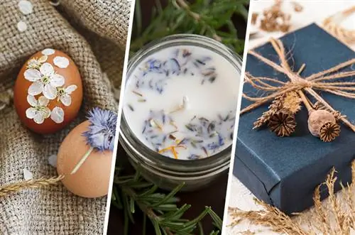 Collage of various decorations with dried flowers