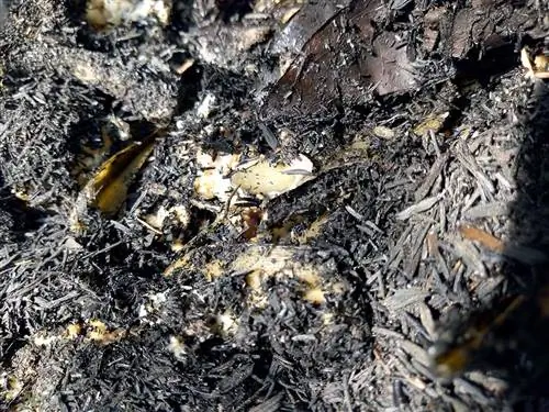 Terra Preta word gemaak met biochar in kompos