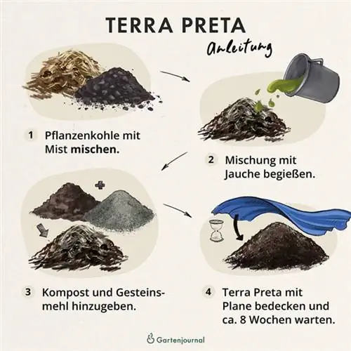 Lấy Terra Preta làm minh họa