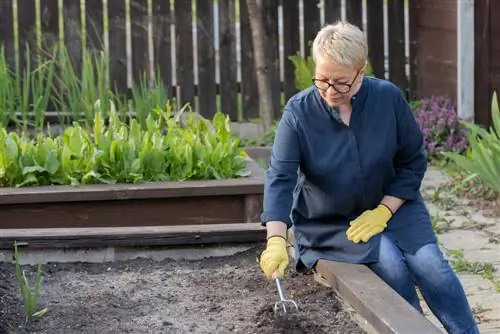 Fill raised beds: use cherry laurel effectively