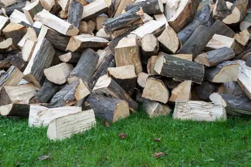 Hornbeam firewood: advantages and storage