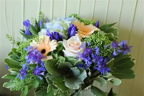 gerberas-et-roses