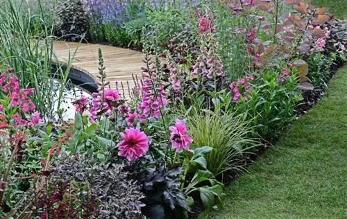 Vosshandskoene en slakke: Natuurlike verdediging in die tuin