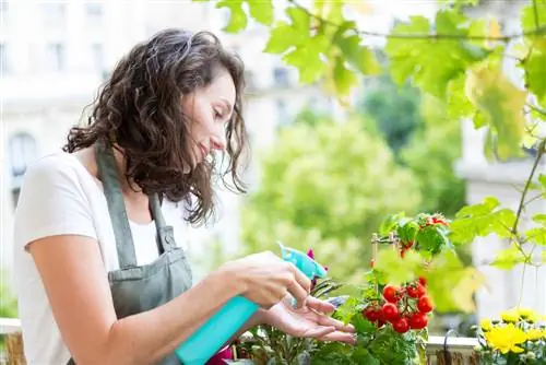 Slakke in die tuin: Is asyn die oplossing?