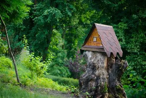 Fije la pajarera al tronco del árbol