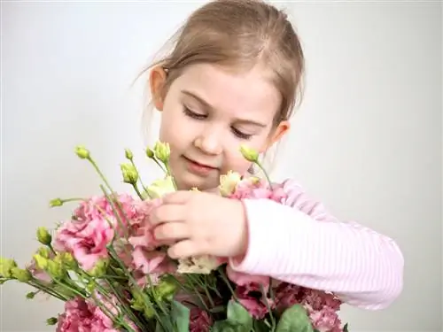 Je Eustoma jedovatá? Vše jasné pro lidi i zvířata