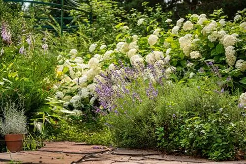 Idee per letti con ortensie