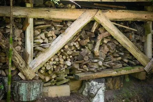 firewood-spruce-dry season