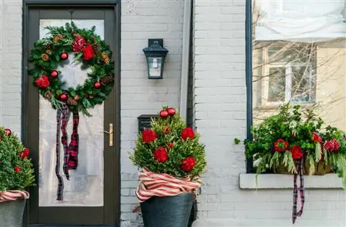 Buxus-versier-voor-Kerstmis