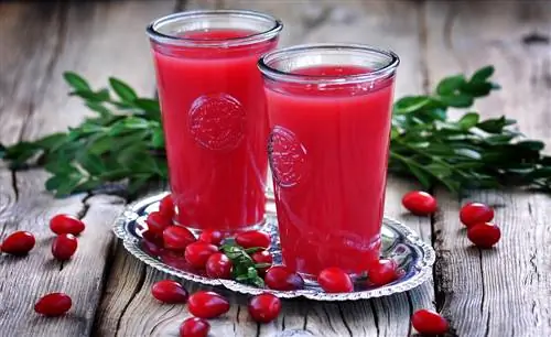 Juicing cornelian cherries: Cov cuab yeej zoo tshaj plaws thiab txoj hauv kev