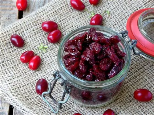 Cornelian cherry drying