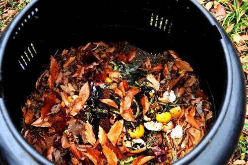 Composting leaves: Accelerate with natural materials