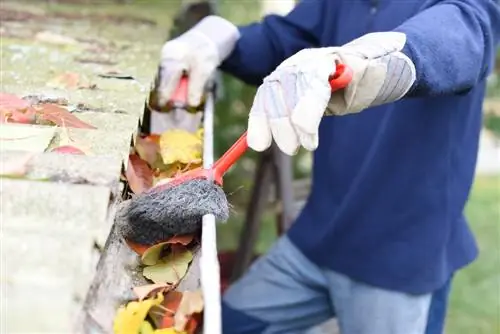 Neighbor's leaves block gutter: solutions & tips