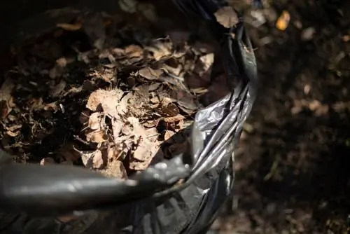 Pag-compost ng mga dahon: Bakit may katuturan ang isang plastic bag