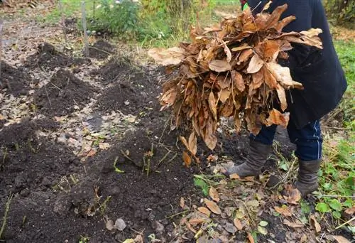 использовать листья