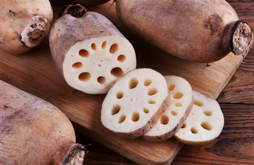 De wereld van genieten van de lotusbloem: eetbare delen en recepten