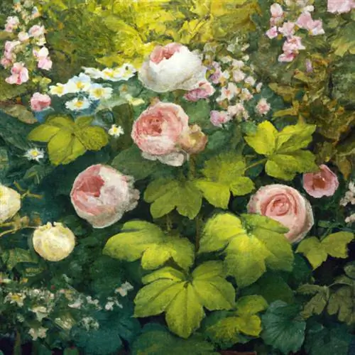 Combine lady's mantle with floribunda roses in the bed