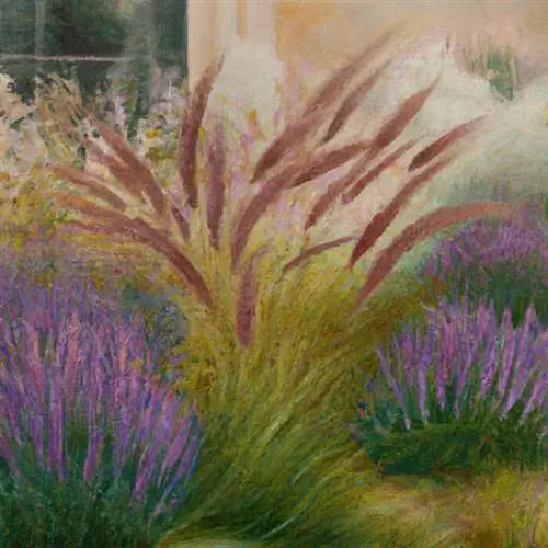 Combine feather bristle grass with lavender in the bed