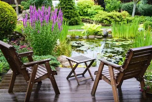 Create magical focal points - combine loosestrife beautifully