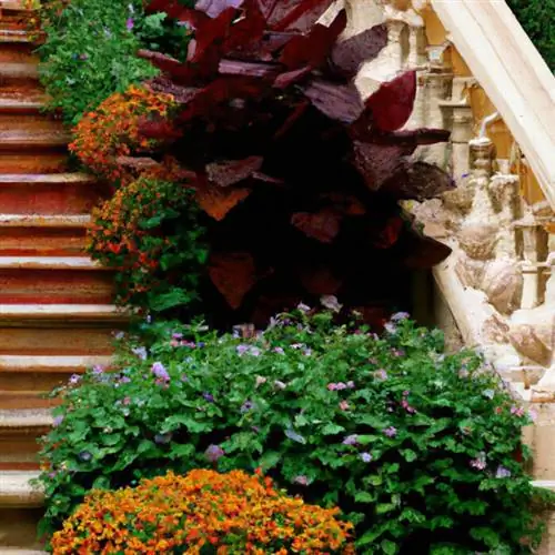 Combine coleus with Bidens in the bed