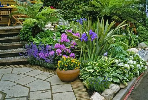 Which plants harmonize with ground cover plants? Expert tips