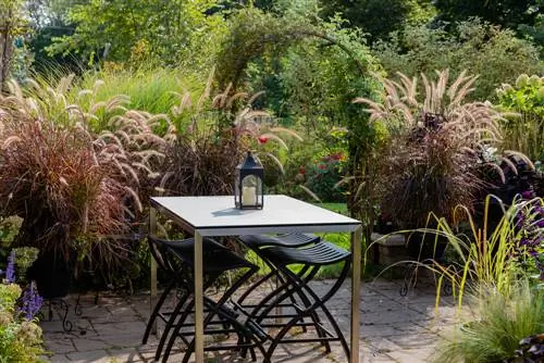 Pennisetum gras-combinatie