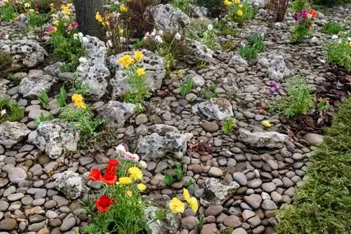 Colorida fiebre primaveral: combina ranúnculos