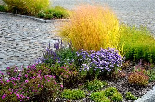 Combiner le panic raide : des idées créatives pour le jardin et le vase