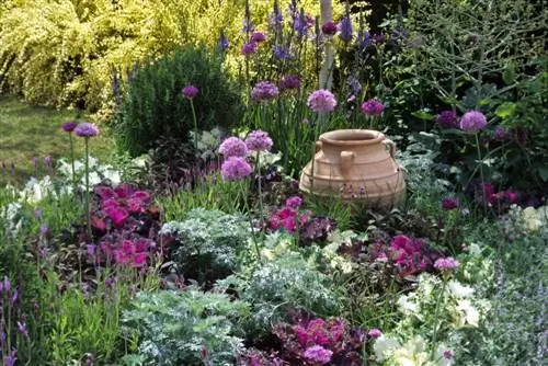 Crested lavender in the bed: This is how you can put it in the spotlight