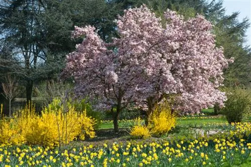 shrubs- একত্রিত করা